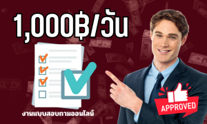 งานแบบสอบถาม 2024